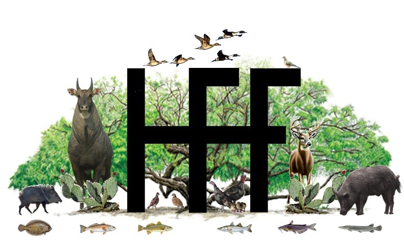 Horn, Fin and Feather