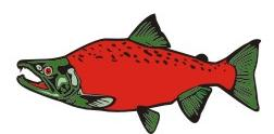 Joefish Guide Service