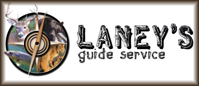 Laneys Guide Service