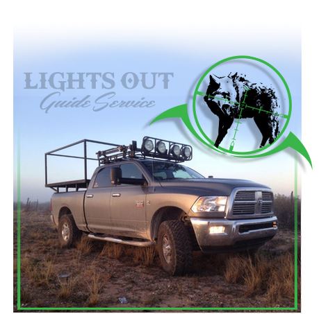 Lights Out Guide Service