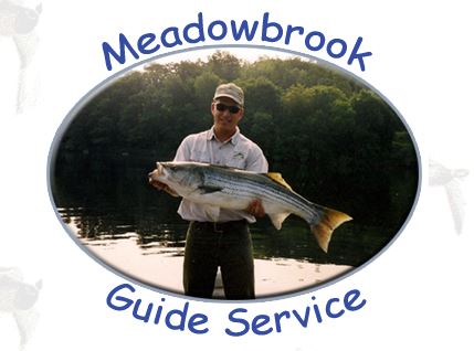 Meadow Brook Outfitters