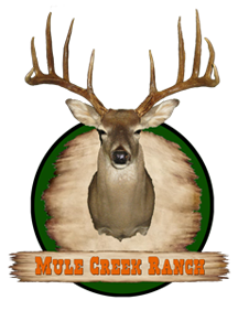 Mule Creek Ranch