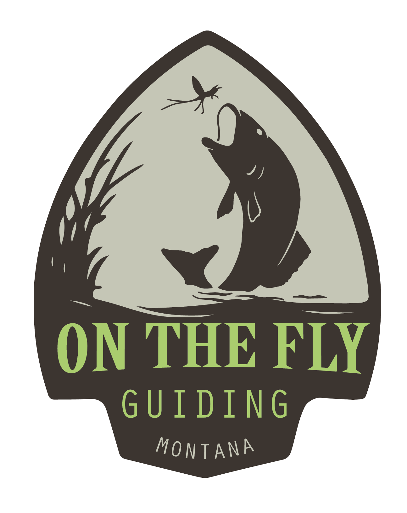 On The Fly Guiding
