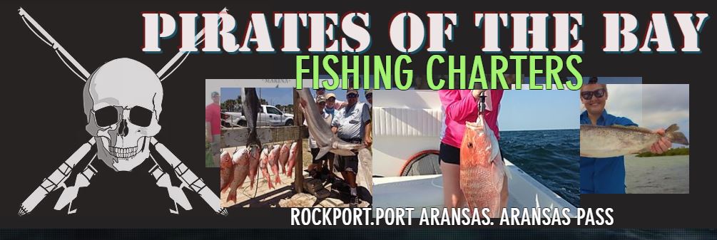 Pirates of the Bay Charters