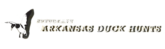 Primm Springs Wildlife