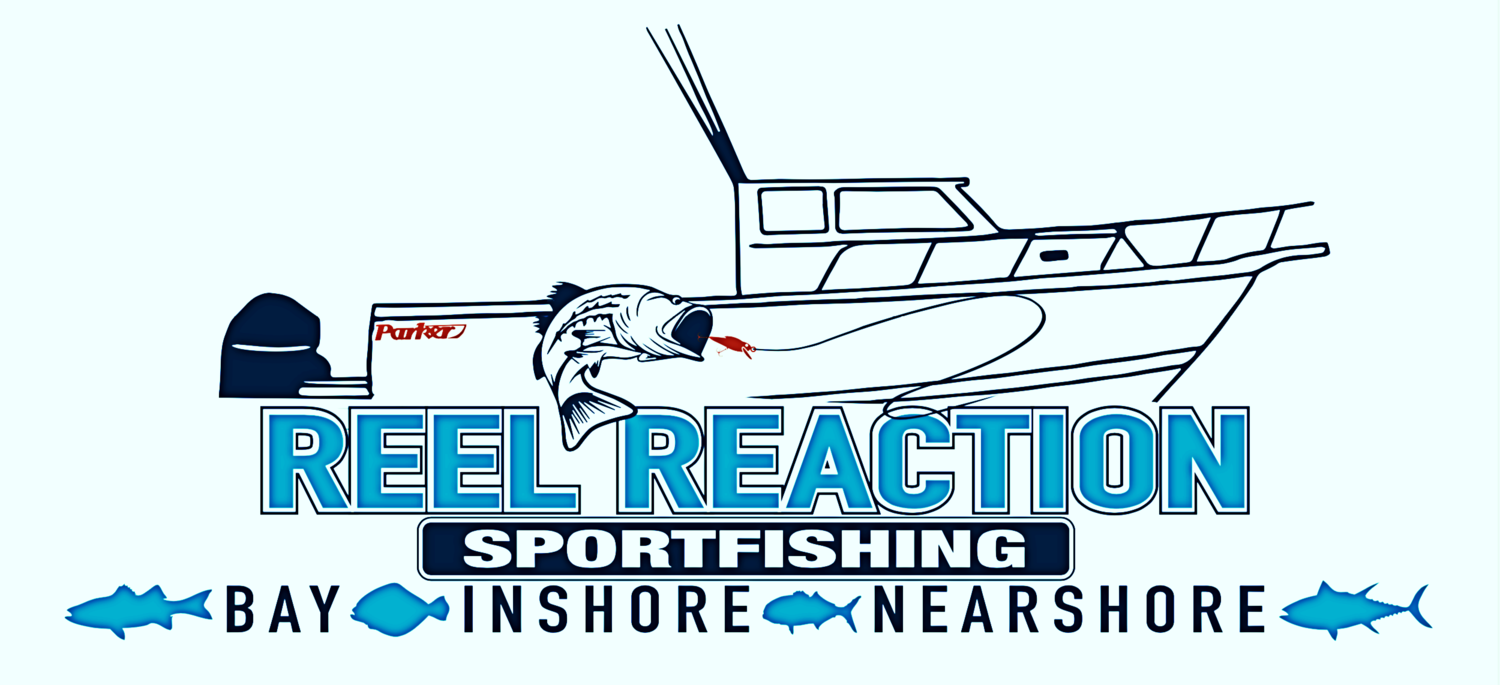 Reel Reaction Sportfishing