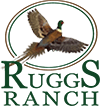 Ruggs Ranch Hunting Preserve