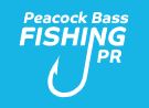 Puerto Rico Fishing Guide
