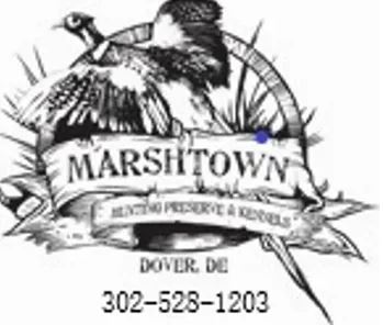 Marshtown Hunting Preserve