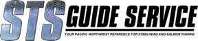 STS Guide Service