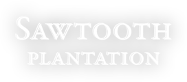 Sawtooth Plantation