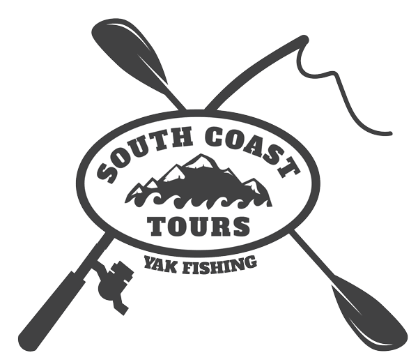 South Coast Tours