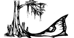 Southern Exposure Inshore Fishing