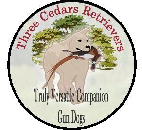 Three Cedars Retrievers