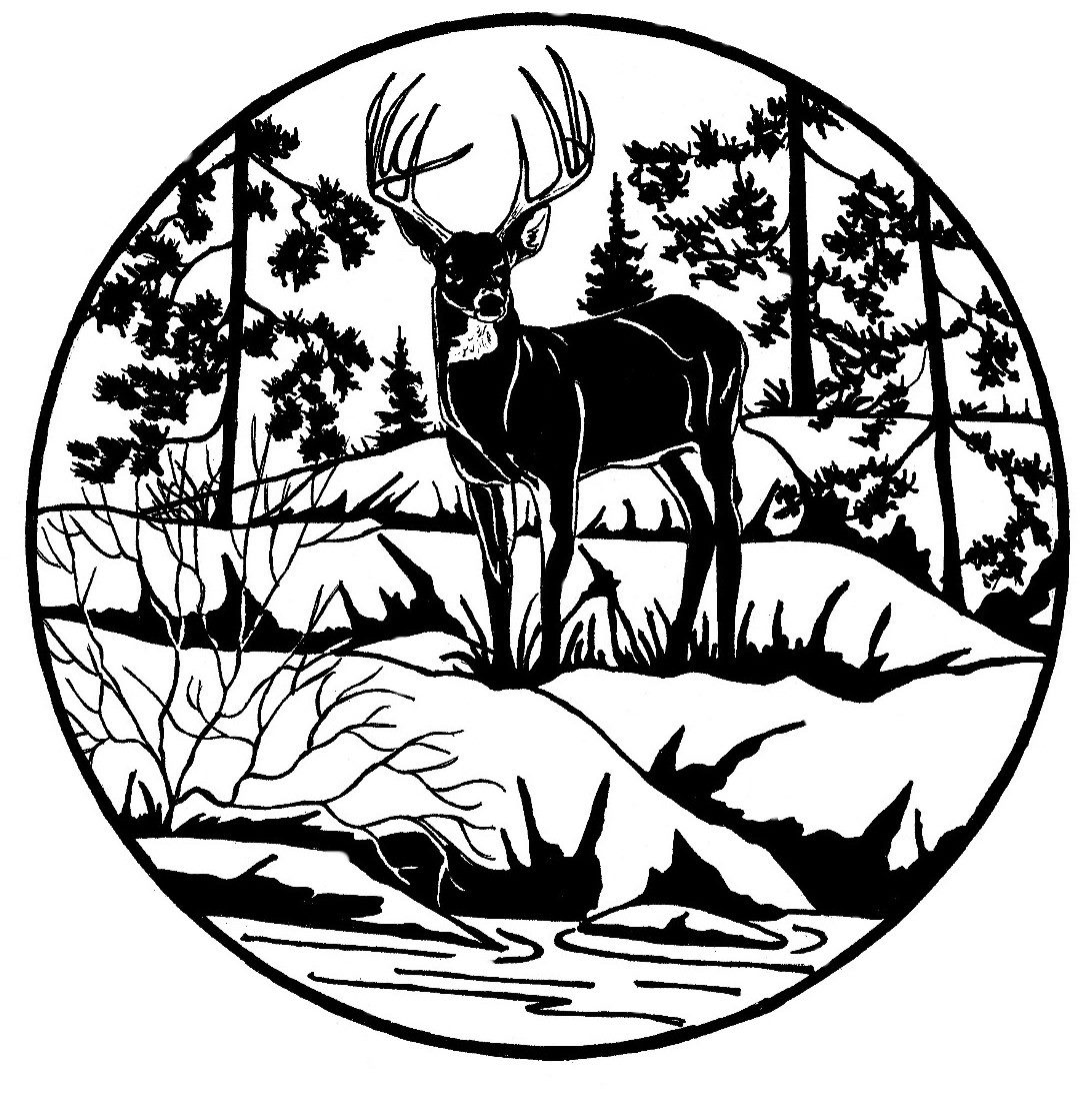 Whiteshell Outfitters