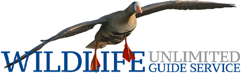 Wildlife Unlimited Guide Service