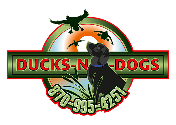 Ducks-N-Dogs