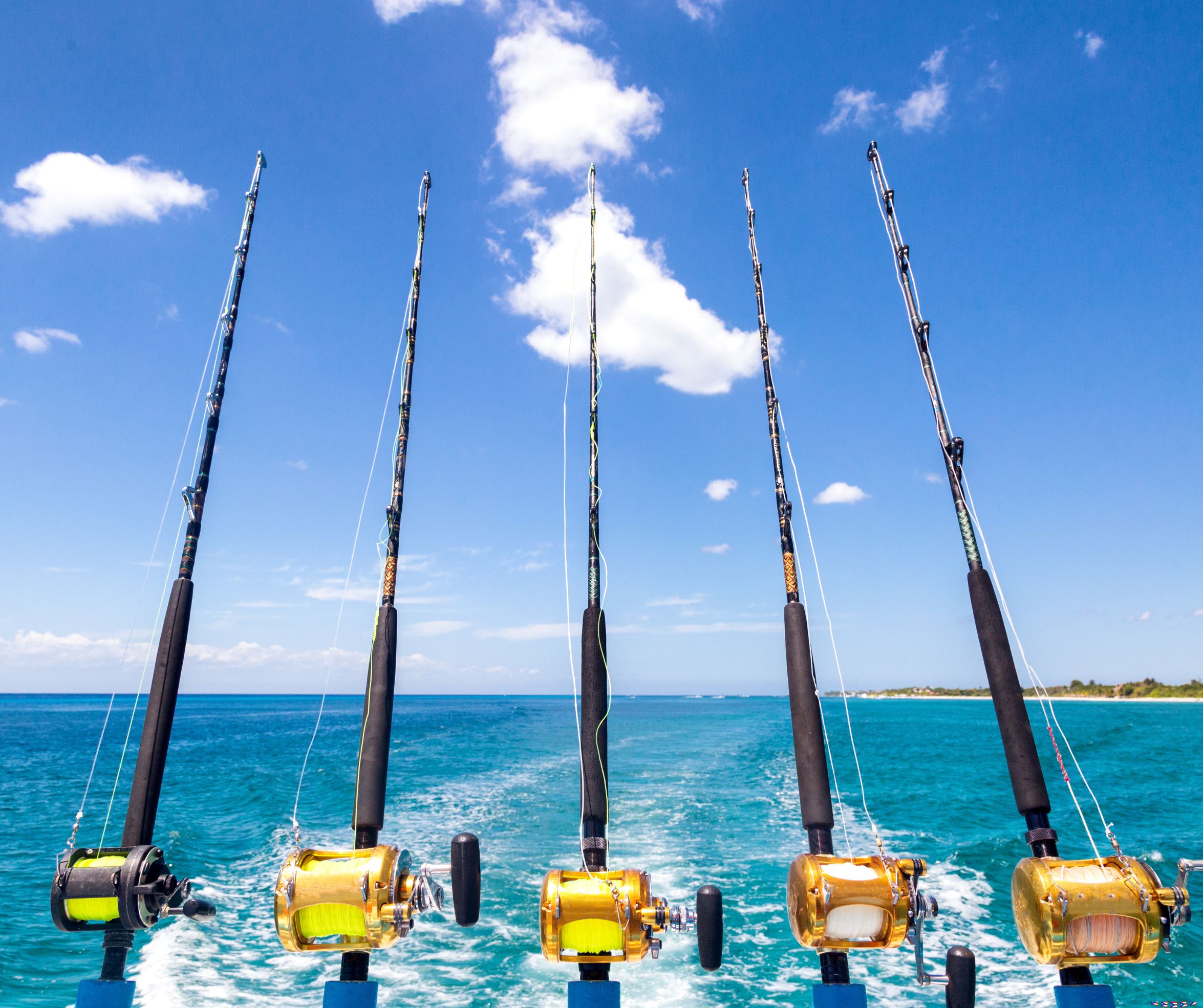 Best Destinations for Deep Sea Fishing: Top Deep Sea Fishing Spots in 2026