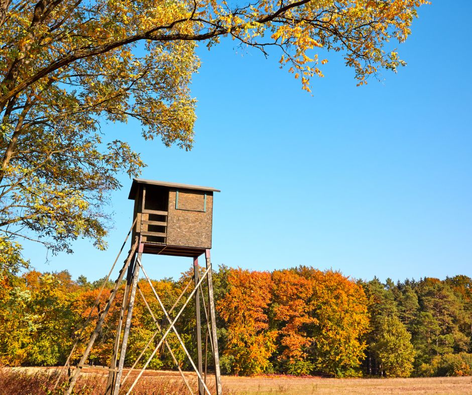 How to Set Up a Deer Hunting Blind: A Complete Guide