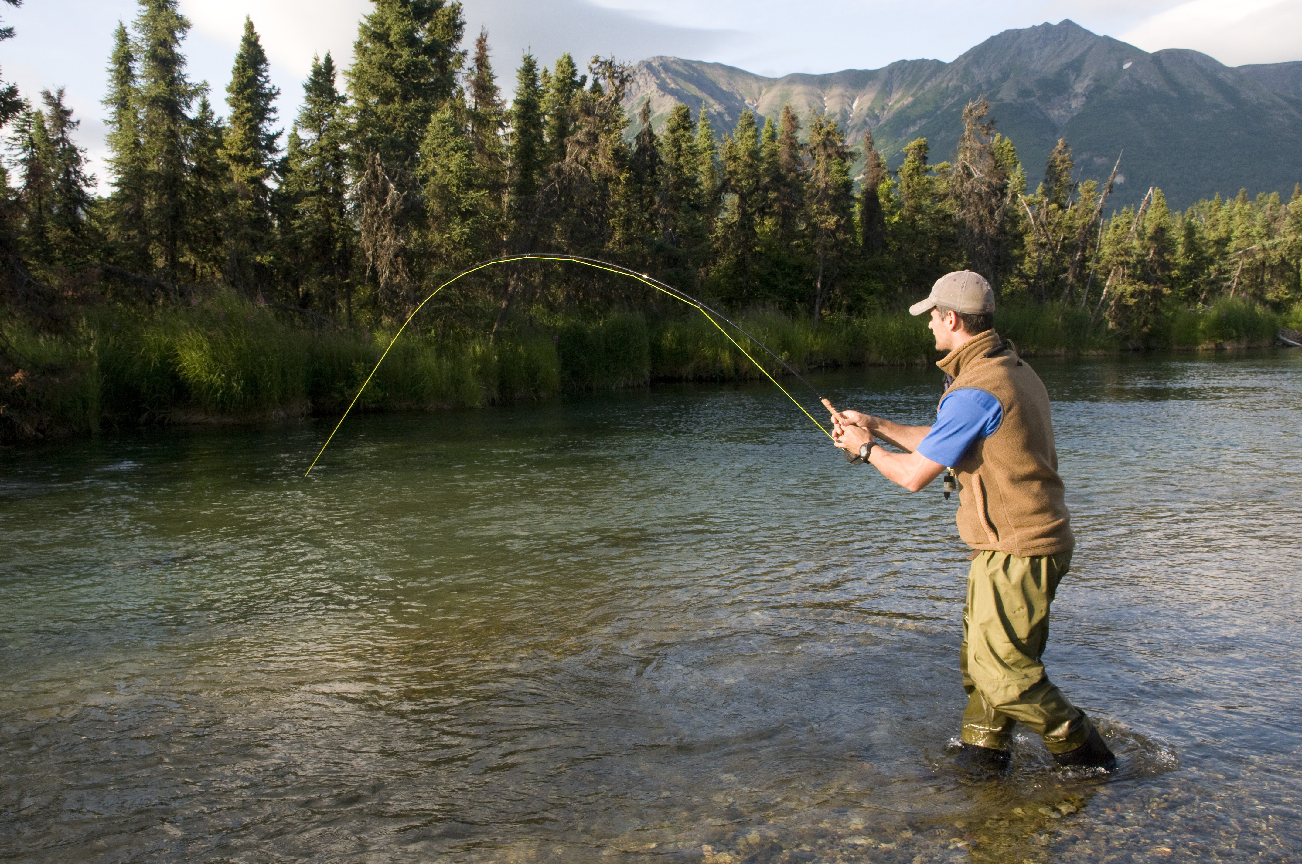 Salmon Catch in Alaska