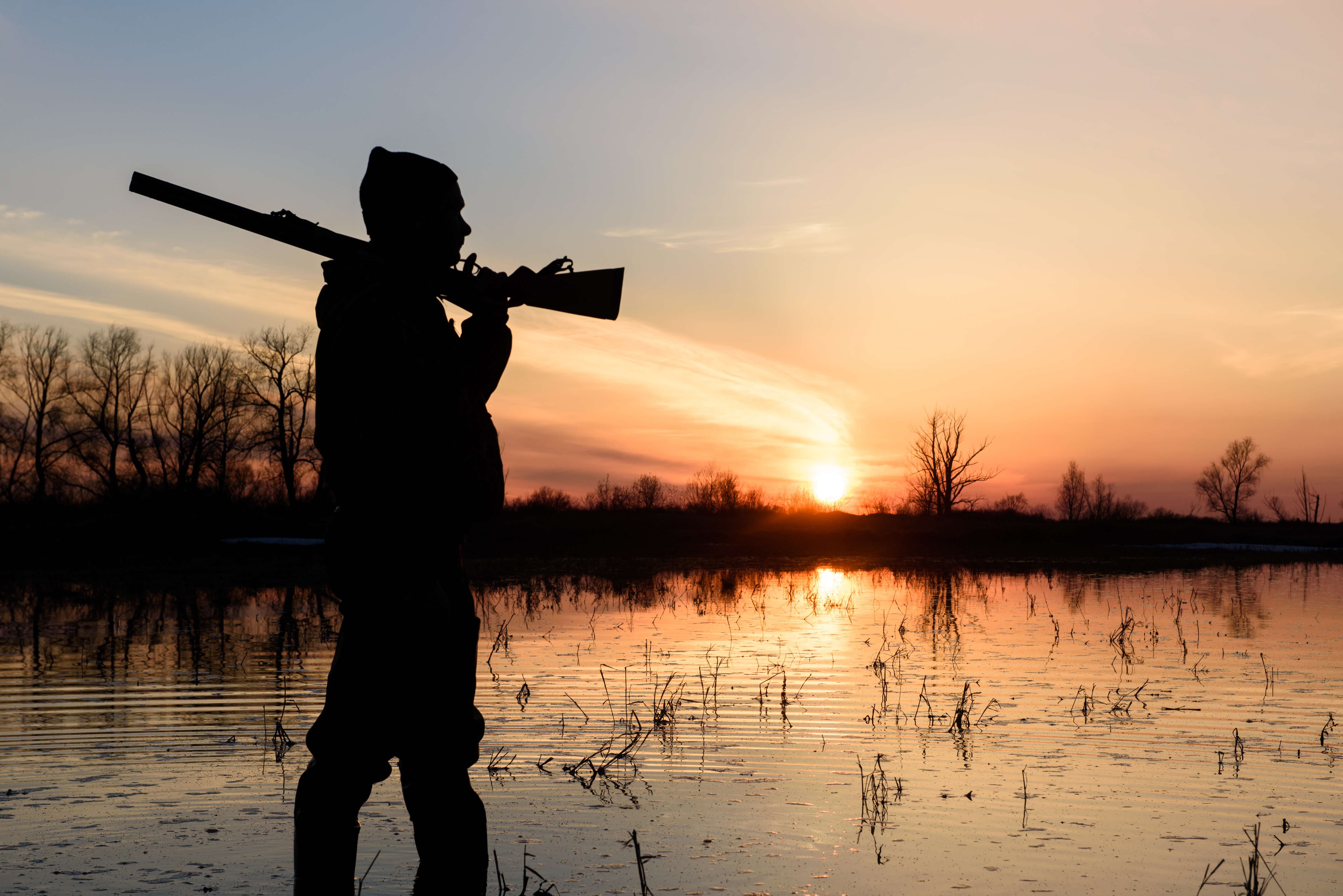 Hunting at sunset