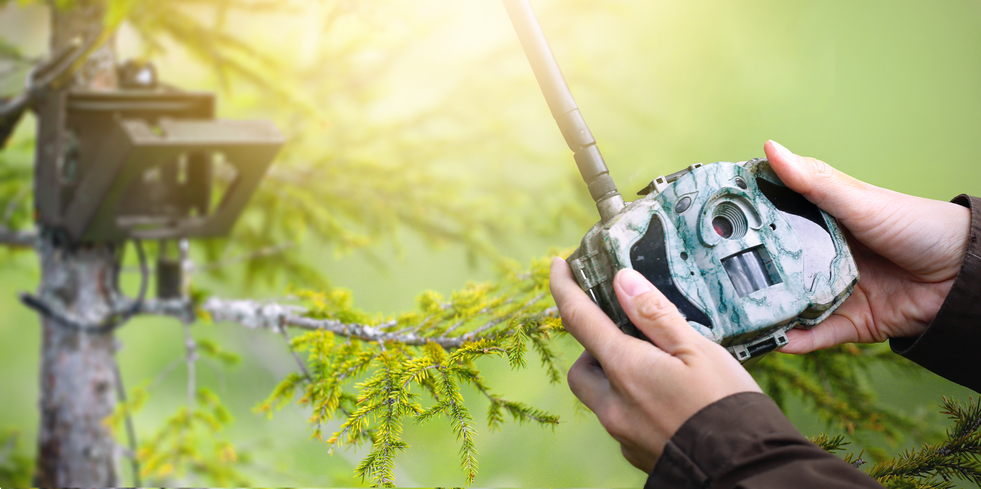 hunter setting up trail camera