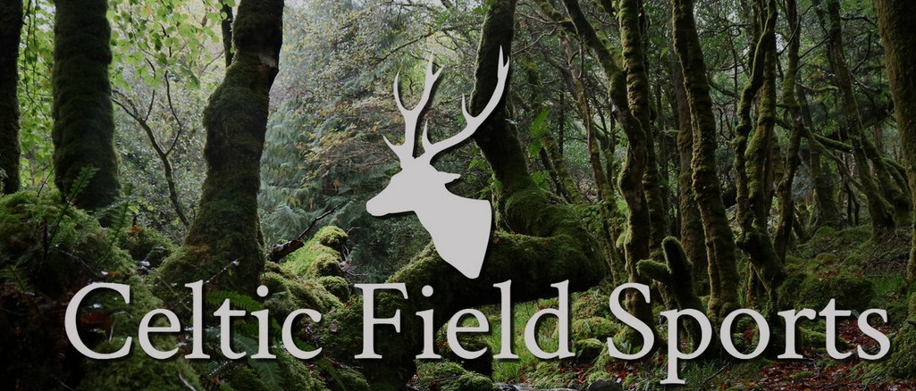 Celtic Field Sports