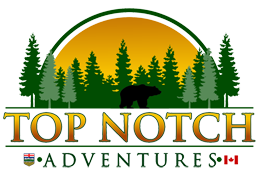 top Notch