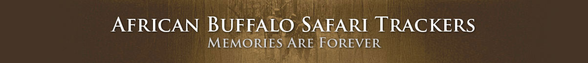 African Buffalo Safari Trackers