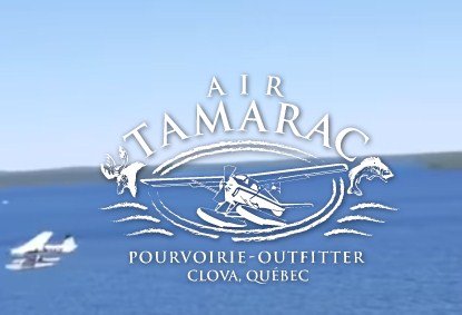 Sauterelle Outfitter