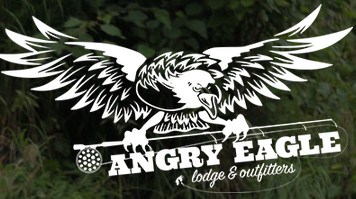 Angry Eagle