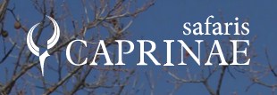 Caprinae Safaris