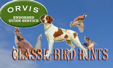 Classic Bird Hunts