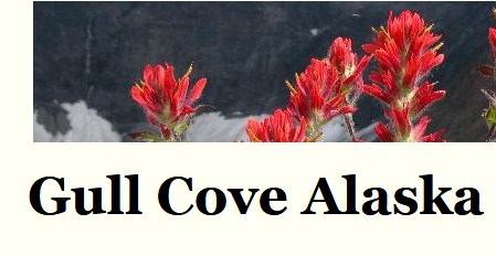 Gull Cove Alaska Lodge
