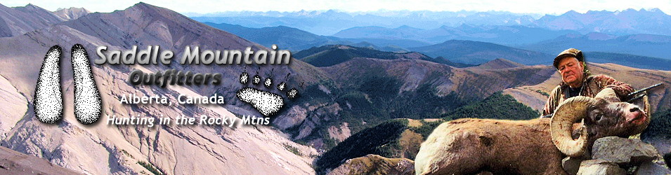 Saddle Mountain Outfitters