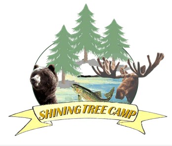 Shining Tree Camp