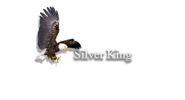 Silver King Lodge